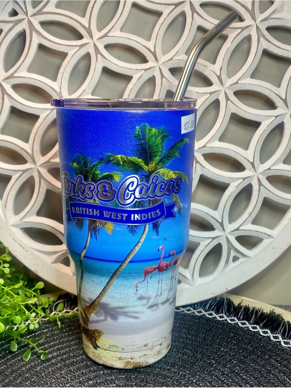 NWT Turks & Caicos Beach Scene Tall Tumbler With Metal Straw
